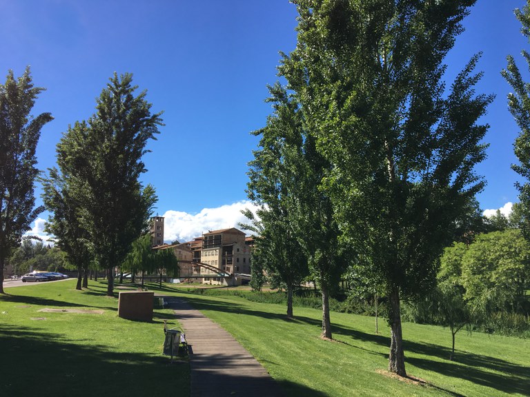 Ampliació i modernització de la xarxa de telegestió de sistemes de reg en espais verds