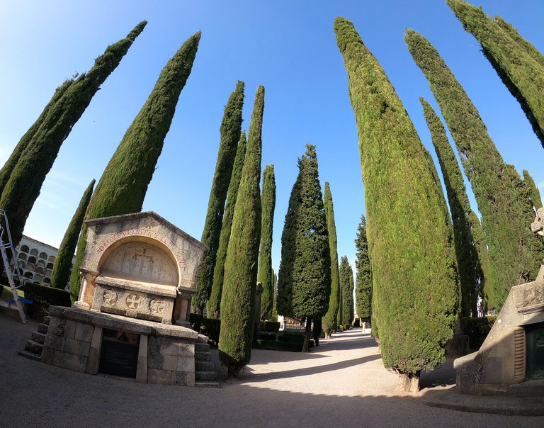 Estudi de l'estat actual del cementiri