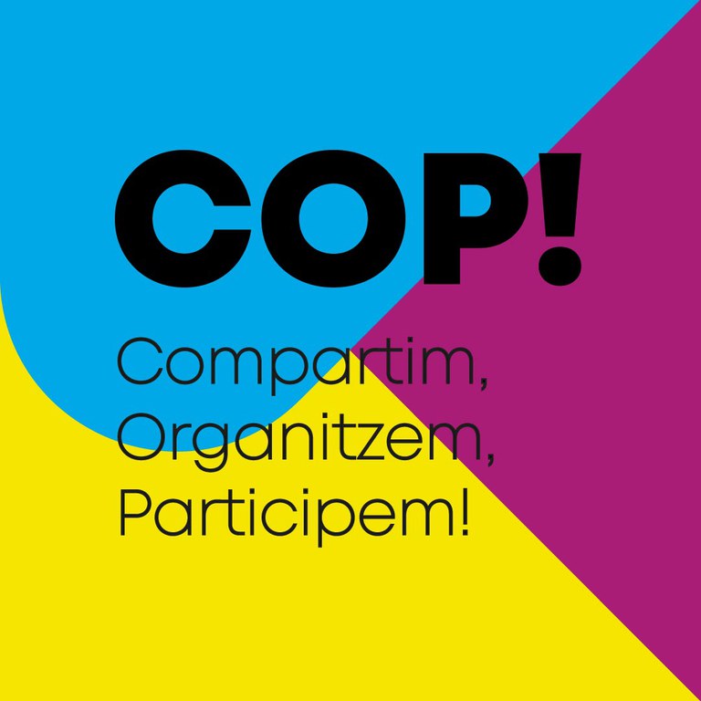 Creació i desenvolupament del projecte d'acompanyament als joves 'Projecte COP'