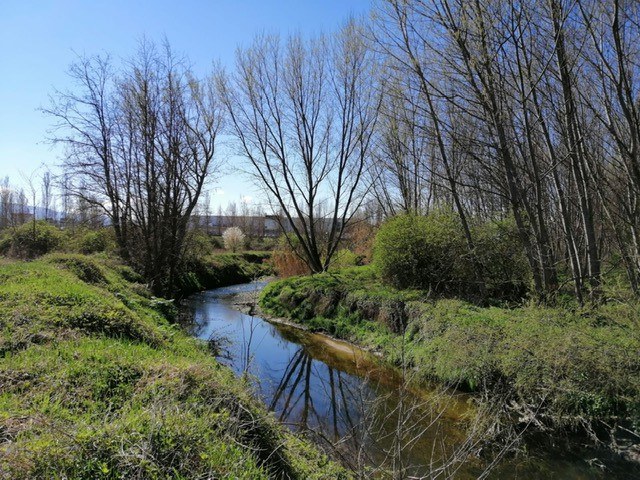 Desenvolupament projecte ribera de Les Cassasses