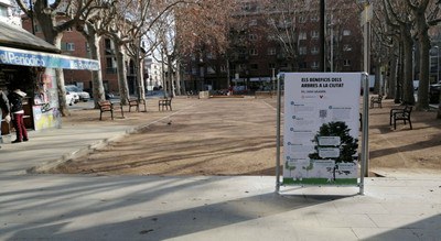 Donar a conèixer el Pla Director del Verd Urbà