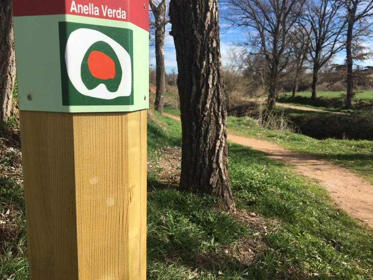 Connexió anella verda talús nord cementiri