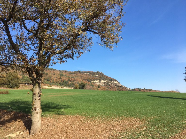 Millora de la senyalització de l'Anella Verda